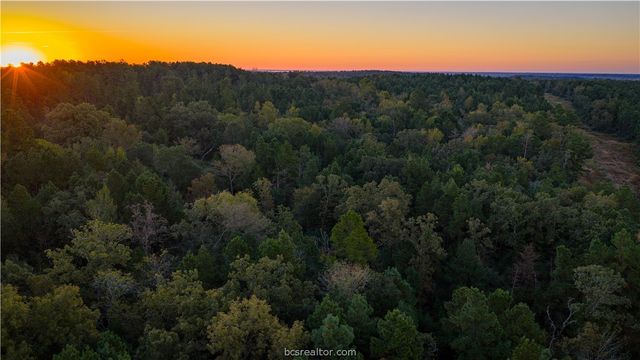 15383 CR 236, Oakwood, TX 75855