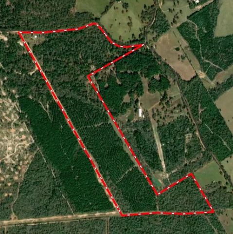 15383 CR 236, Oakwood, TX 75855