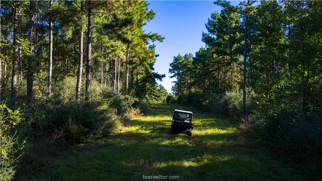 15383 CR 236, Oakwood, TX 75855