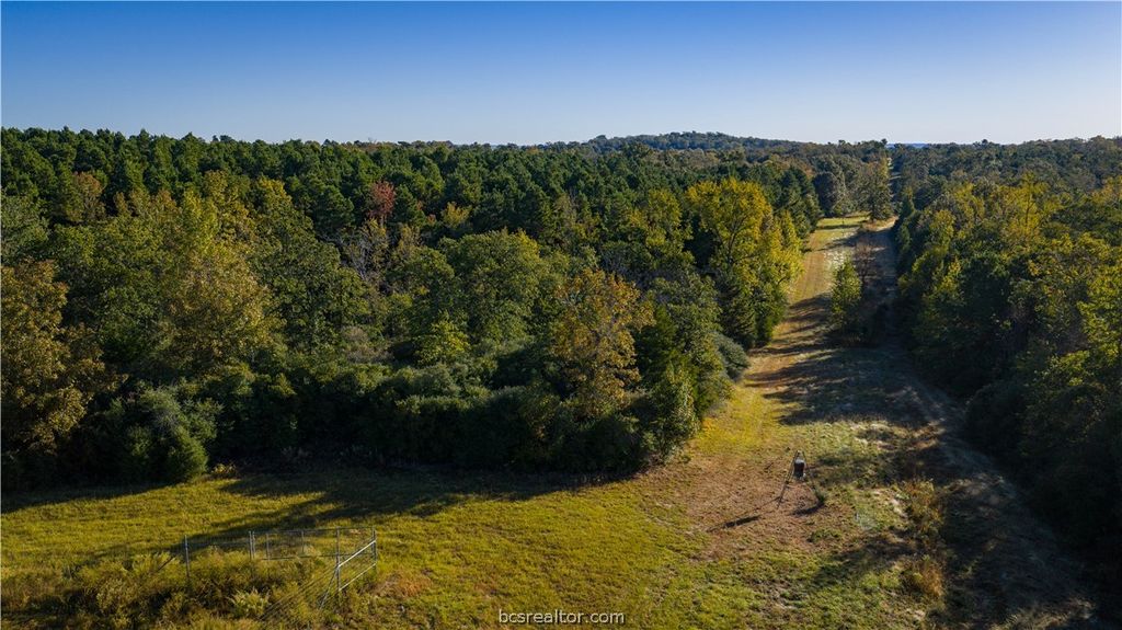 15383 CR 236, Oakwood, TX 75855