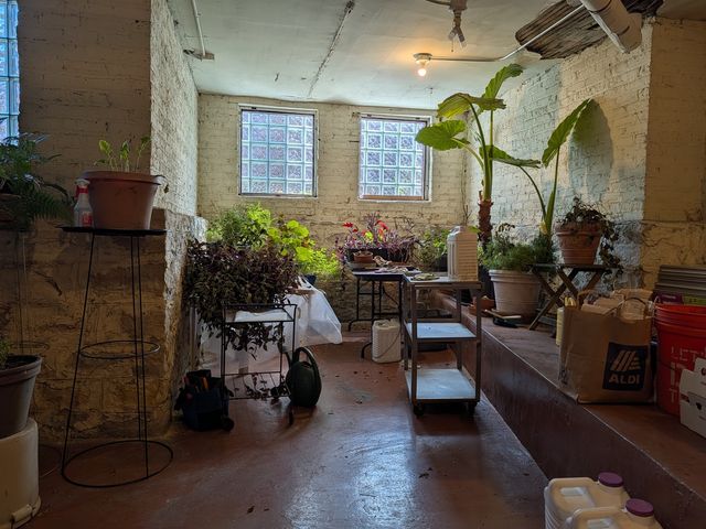 1326 W Albion Avenue 1, Chicago, IL 60626