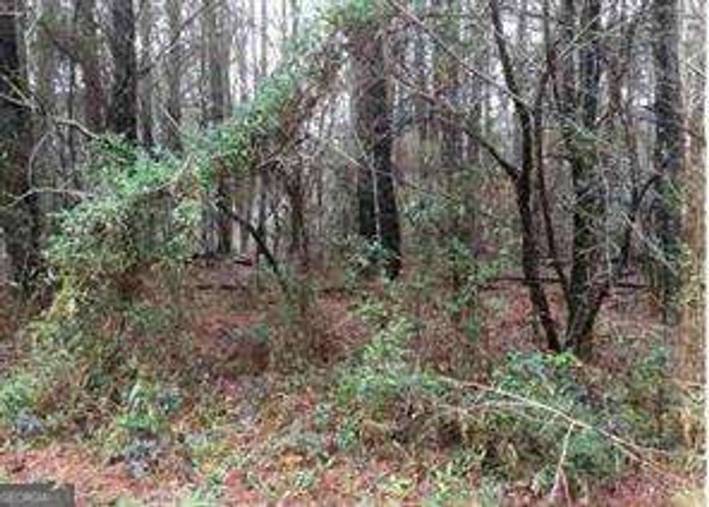 2115 LOGAN Drive, Jonesboro, GA 30236 — photo 5