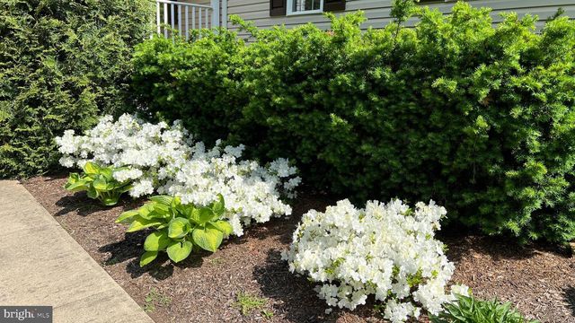 13403 ALVA BROOKS LN, Spotsylvania, VA 22551