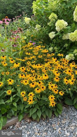 13403 ALVA BROOKS LN, Spotsylvania, VA 22551