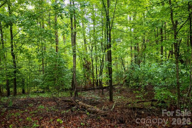 1225 Moss Road, Rutherfordton, NC 28139
