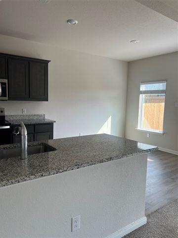 4106 Sweet Fennel Drive, Dallas, TX 75241