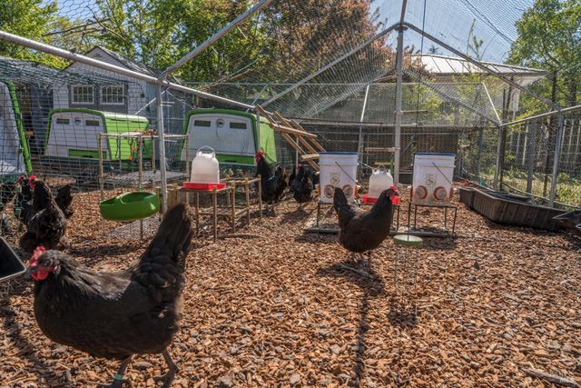 1101 Hedgeside Ave, Napa, CA 94558