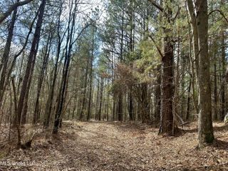 242 Dan George Rd Road, Mendenhall, MS 39114