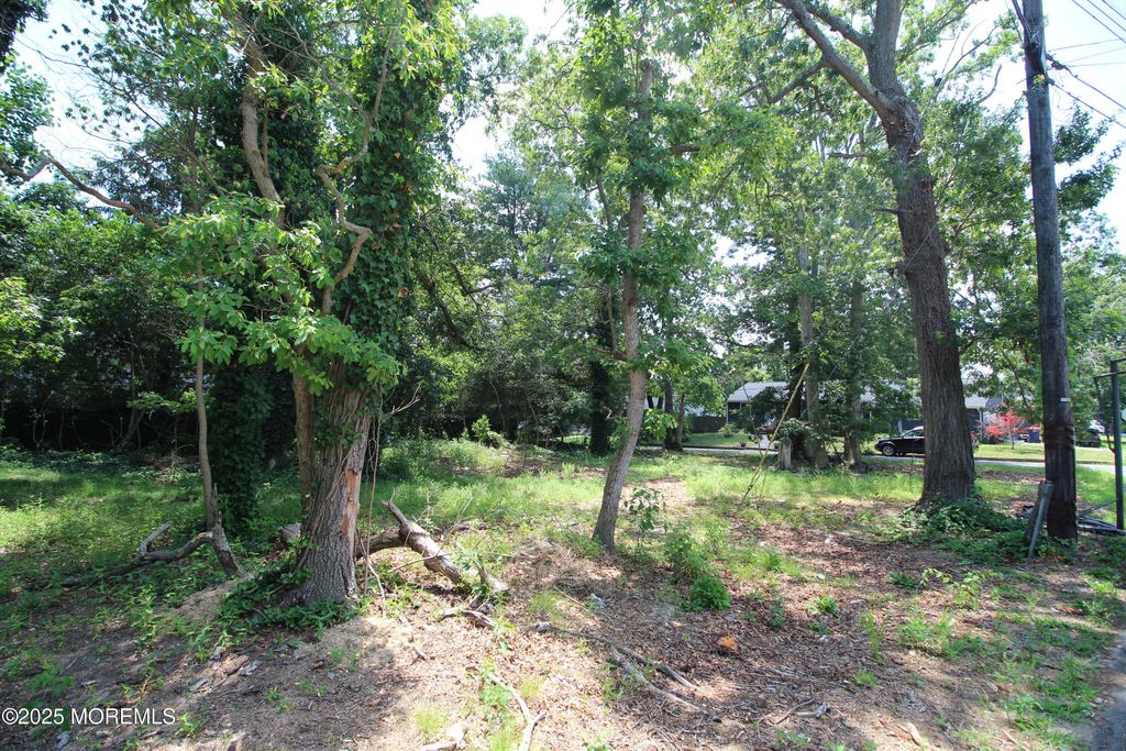 553 Halliard Avenue, Beachwood, NJ 08722