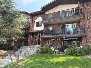 13933 James Drive 822, Crestwood, IL 60418