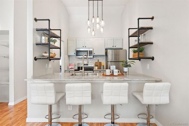 532 Oakwood Drive D204, Castle Rock, CO 80104