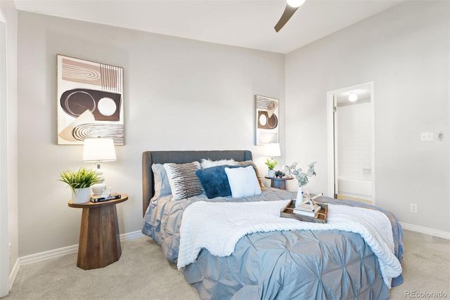 532 Oakwood Drive D204, Castle Rock, CO 80104