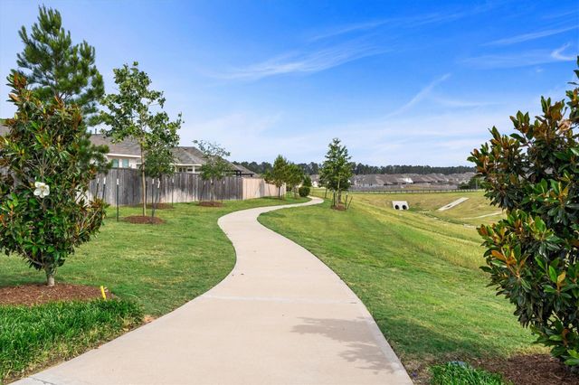 164 Pine Bend Court, Magnolia, TX 77354