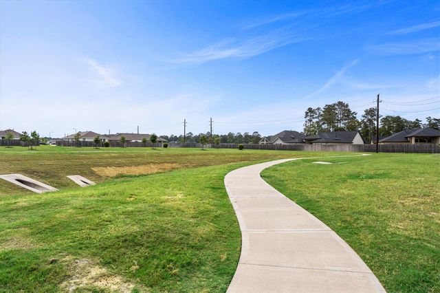 164 Pine Bend Court, Magnolia, TX 77354