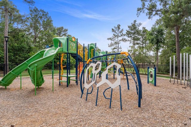 164 Pine Bend Court, Magnolia, TX 77354