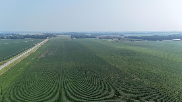 TBD County 61, Browerville, MN 56438