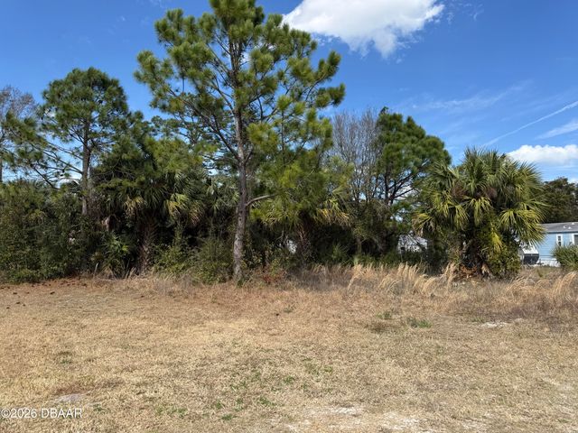 1069 Massey Road, New Smyrna Beach, FL 32168