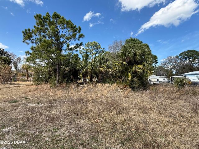 1069 Massey Road, New Smyrna Beach, FL 32168