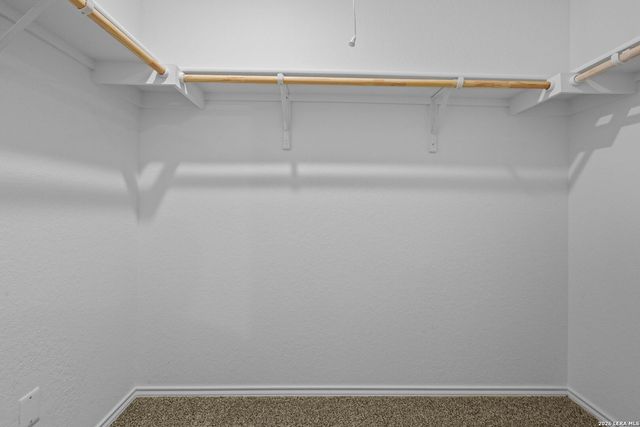 316 Cottonmouth, Seguin, TX 78155