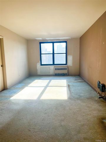 139-15 83rd Avenue 431, Briarwood, NY 11435