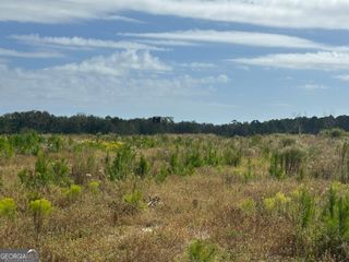 0 Runs Branch Road, Sylvania, GA 30467