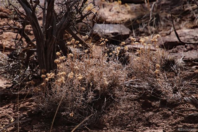 Lot 43 Shadow Trail, San Luis, CO 81152