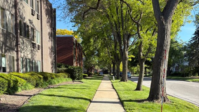 1117 Leavitt Avenue 108, Flossmoor, IL 60422