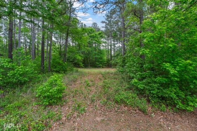 8730 Pinehaven, Keithville, LA 71047
