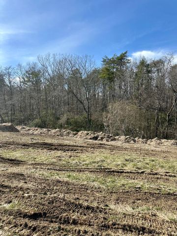 0 Lewis Chapel Road, Dunlap, TN 37327