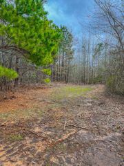 00 Mistletoe Road, Gilmer, TX 75644