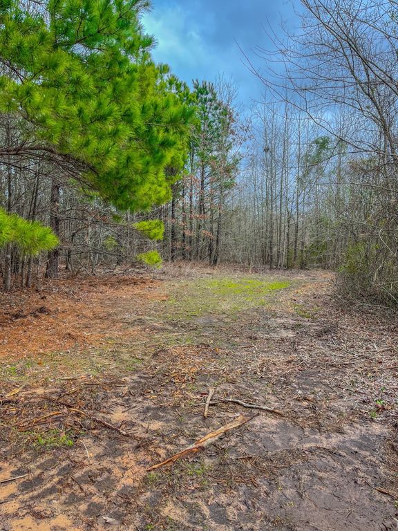 00 Mistletoe Road, Gilmer, TX 75644