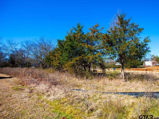 110 Pecan Drive, Bullard, TX 75757