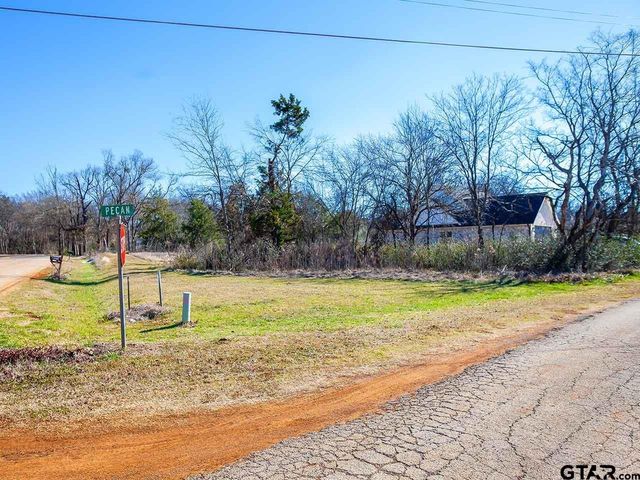 110 Pecan Drive, Bullard, TX 75757