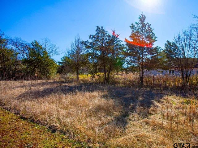 110 Pecan Drive, Bullard, TX 75757