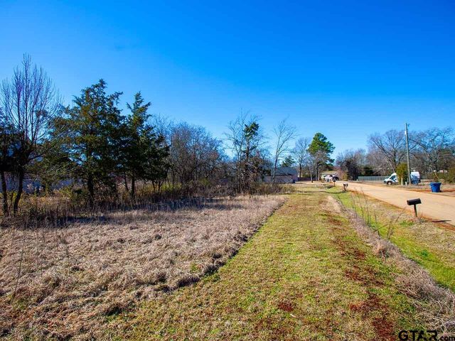 110 Pecan Drive, Bullard, TX 75757