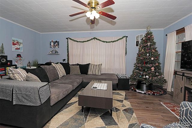 217 N Alexander Street, Farmington, MO 63640