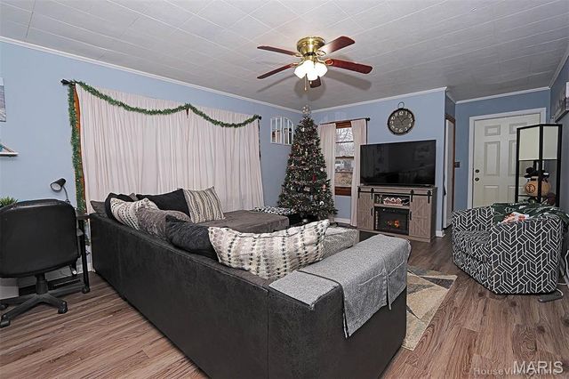 217 N Alexander Street, Farmington, MO 63640