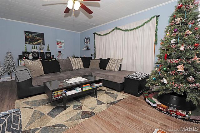 217 N Alexander Street, Farmington, MO 63640