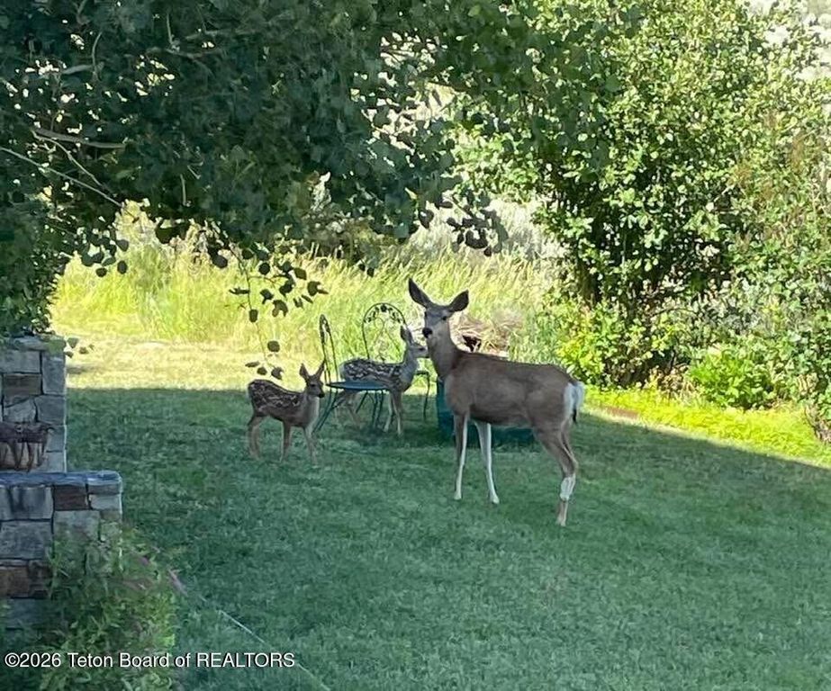 9561 MOUNTAIN VIEW Drive, Tetonia, ID 83452 photo 37