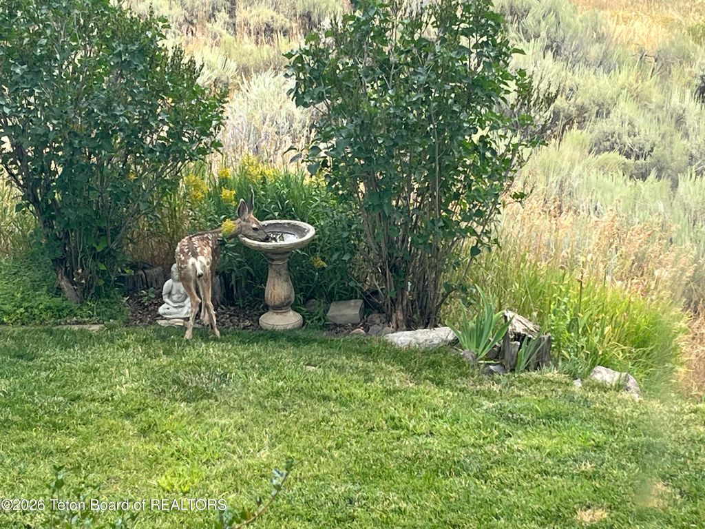 9561 MOUNTAIN VIEW Drive, Tetonia, ID 83452 photo 38