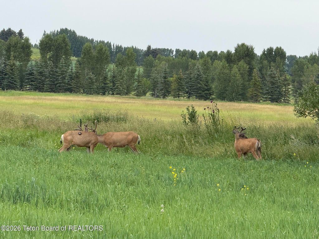 9561 MOUNTAIN VIEW Drive, Tetonia, ID 83452 photo 39