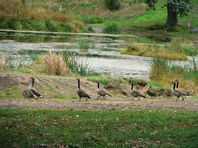 8801 N Serns Road, Milton, WI 53563