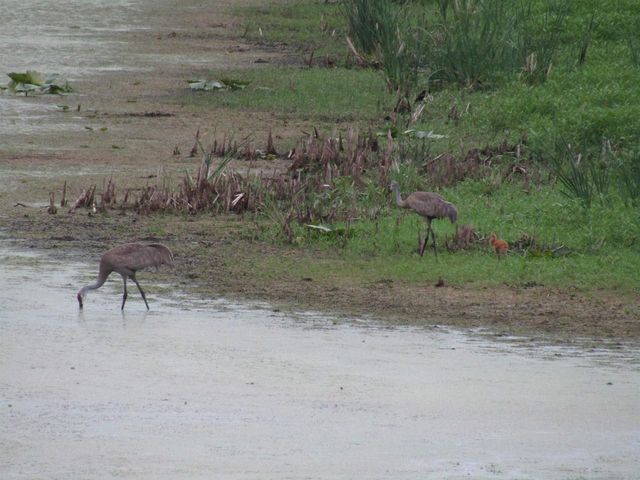 8801 N Serns Road, Milton, WI 53563