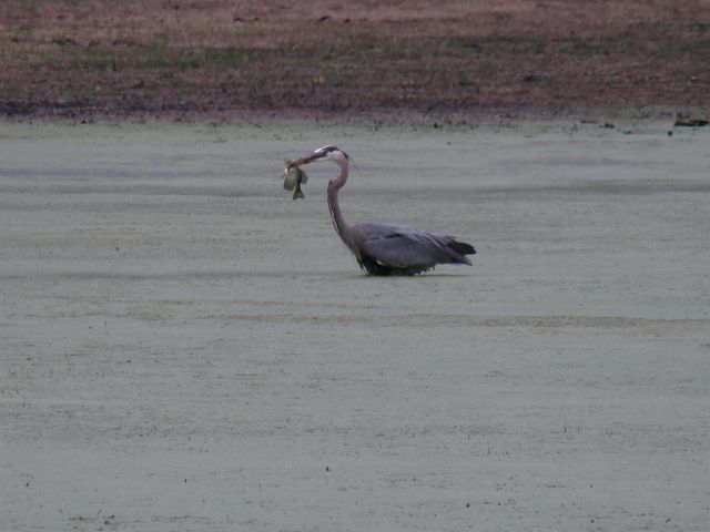 8801 N Serns Road, Milton, WI 53563