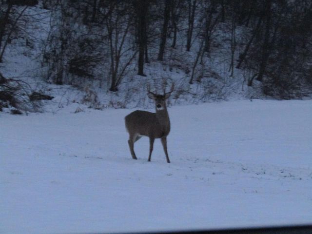 8801 N Serns Road, Milton, WI 53563