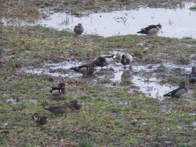 8801 N Serns Road, Milton, WI 53563