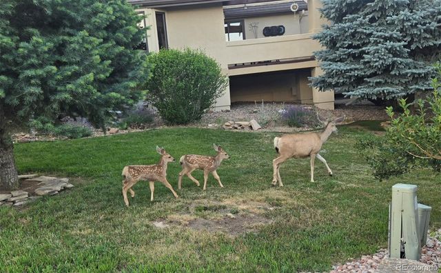 6324 Willow Broom Trail, Littleton, CO 80125