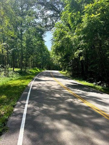 Tract 10 Pleasant Hill Road, Ten Mile, TN 37880