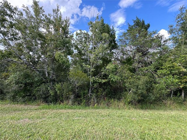 SHELDON STREET, Orlando, FL 32833