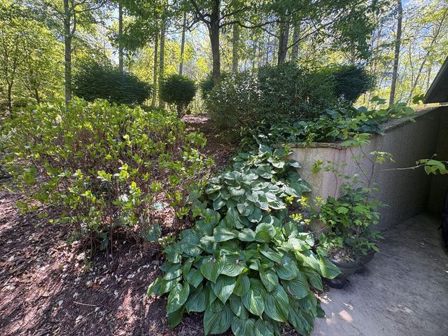 197 Eagles View Road, Hayesville, NC 28904
